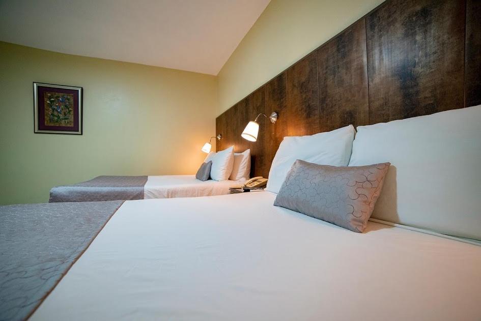 סנטו דומינגו Hotel Real Bella Vista מראה חיצוני תמונה